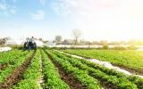 Przekazanie gospodarstwa rolnego w drodze umowy dożywocia a PCC