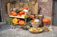 Produkty sezonowe - co warto jeść jesienią?