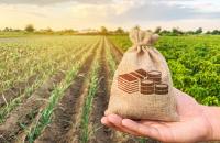 Działalność gospodarcza na gruncie rolnym – jaki podatek? 