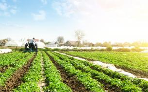 Przekazanie gospodarstwa rolnego w drodze umowy dożywocia - jak opodatkować?