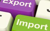 Import usług z krajów unii europejskiej a różnice kursowe