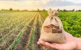 Działalność gospodarcza na gruncie rolnym – jaki podatek obowiązuje? 