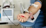 Dawcy krwi - czy mają przywileje? 