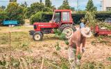 Zaliczanie pracy w gospodarstwie rolnym do lat pracy