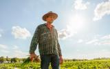 Sprzedaż za granicę przez rolnika ryczałtowego - prawidłowe rozliczenie VAT