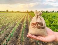 Działalność gospodarcza na gruncie rolnym – jaki podatek? 