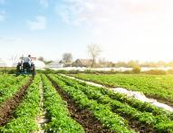 Jak opodatkować przekazanie gospodarstwa rolnego w drodze umowy dożywocia?
