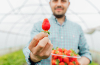 PIT-11 dla pracownika sezonowego – jakie obowiązki ma pracodawca?