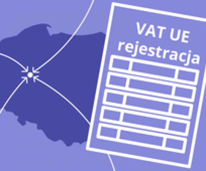 Formularz VAT-UE Z Szerokim Omówieniem - Poradnik Przedsiębiorcy