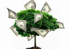 Małe firmy w specjalnych strefach ekonomicznych