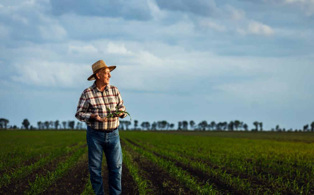 Podatek Rolny Jaka Stawka W 2024 Podatek Rolny Jaka Stawka W 2024