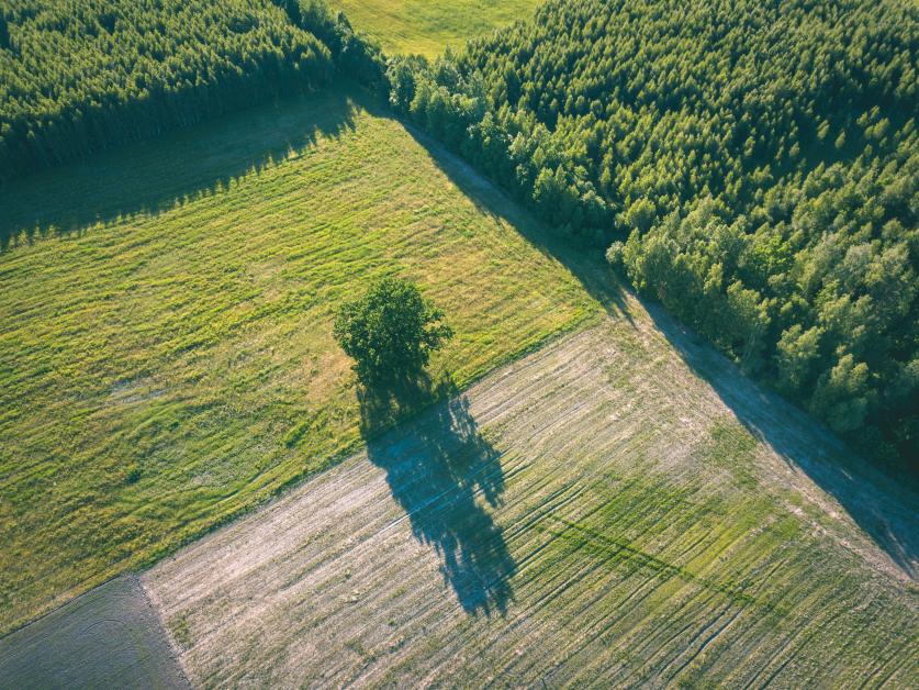 Obiekt nietrwale związany z gruntem na działce rolnej – formalności