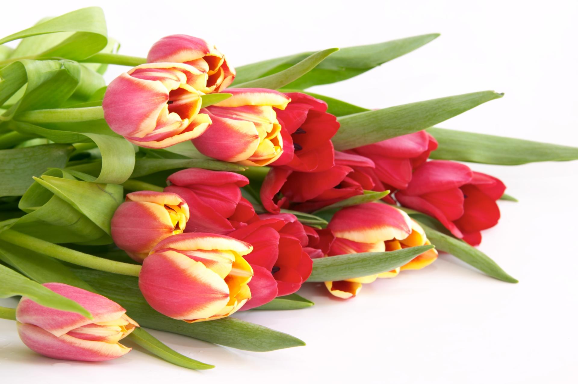 Nekrologi i wiązanki jako koszty uzyskania przychodu