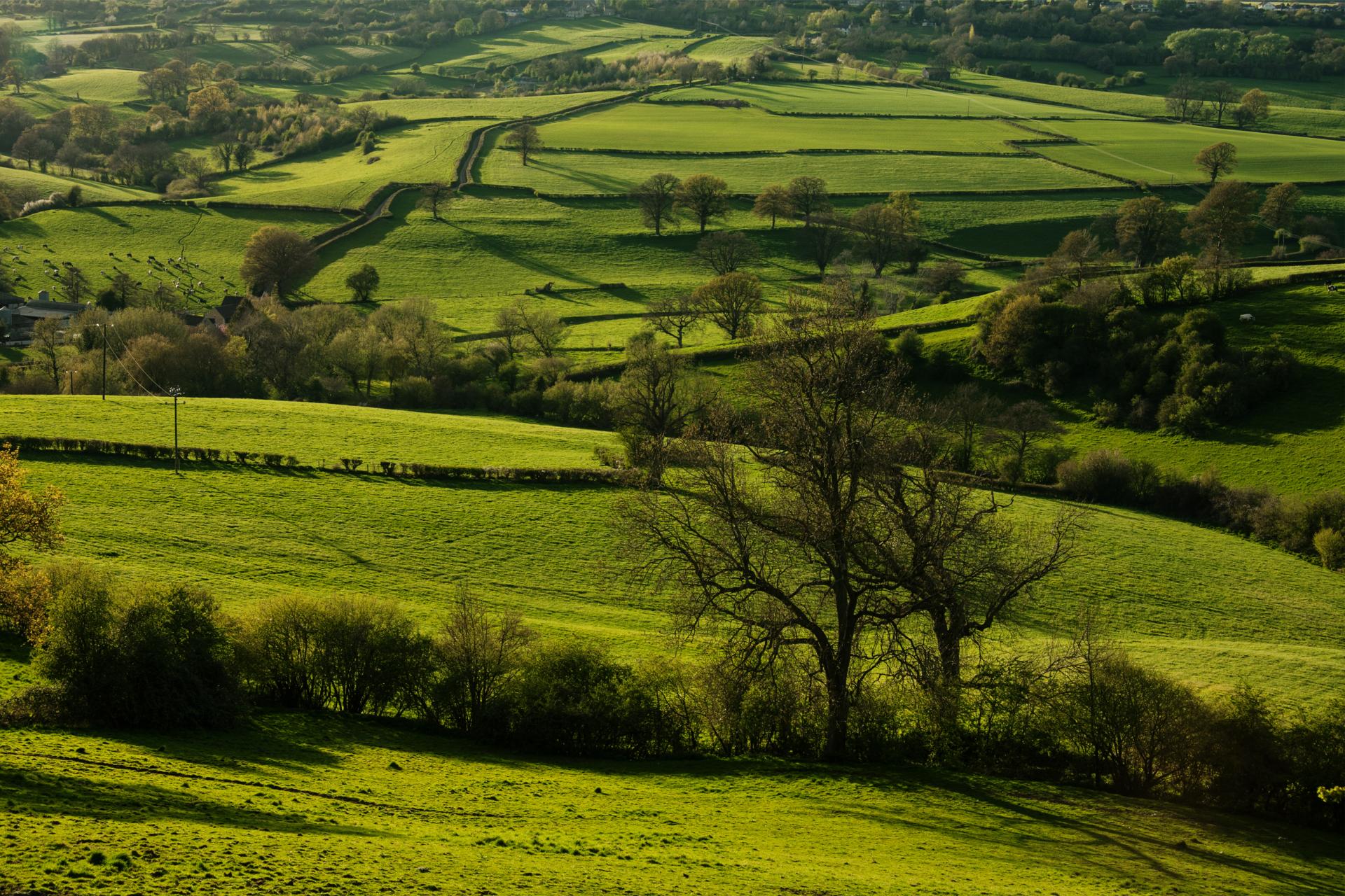 Skutki zgłoszenia umowy pożyczki po terminie