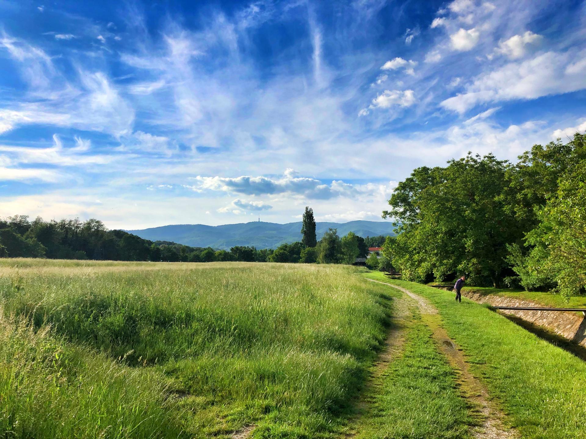 Czym jest użytkowanie wieczyste?