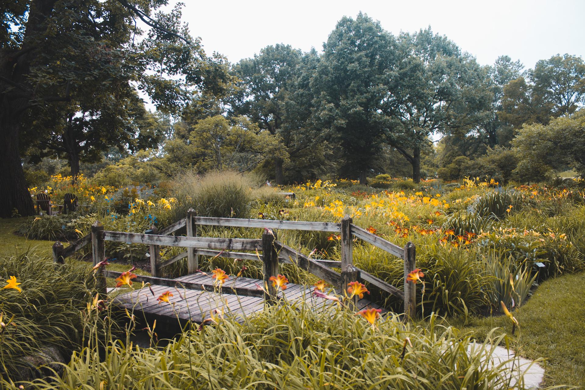 Sprzedaż działki z obiektem małej architektury a zwolnienie z VAT