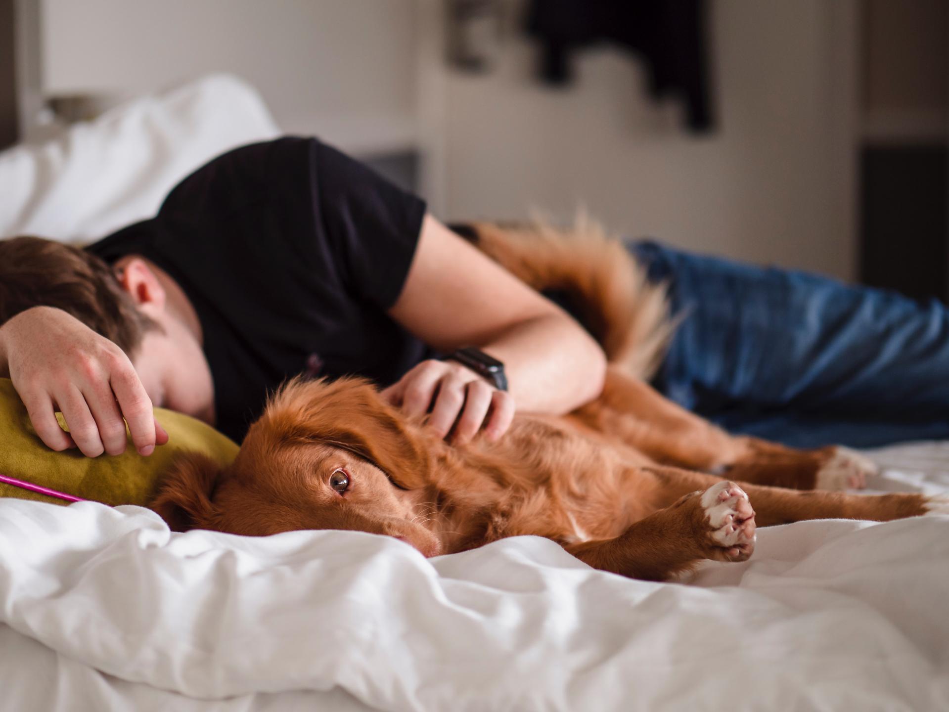 Kawowy zastrzyk energii - czym jest coffee nap?