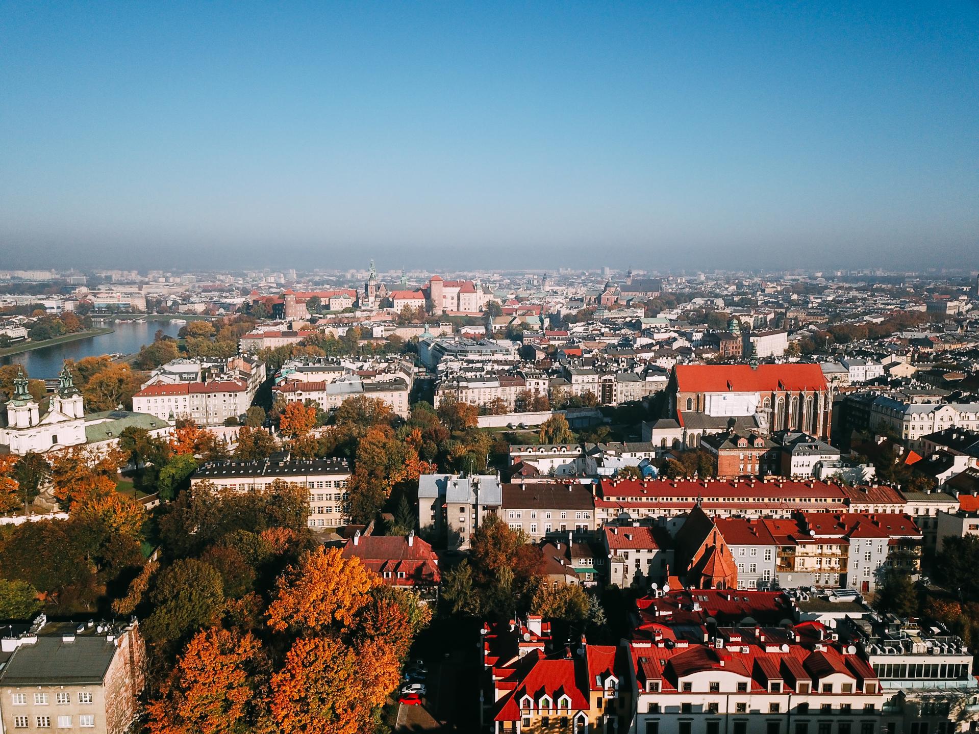 Darmowe ogłoszenia o pracę - Kielce
