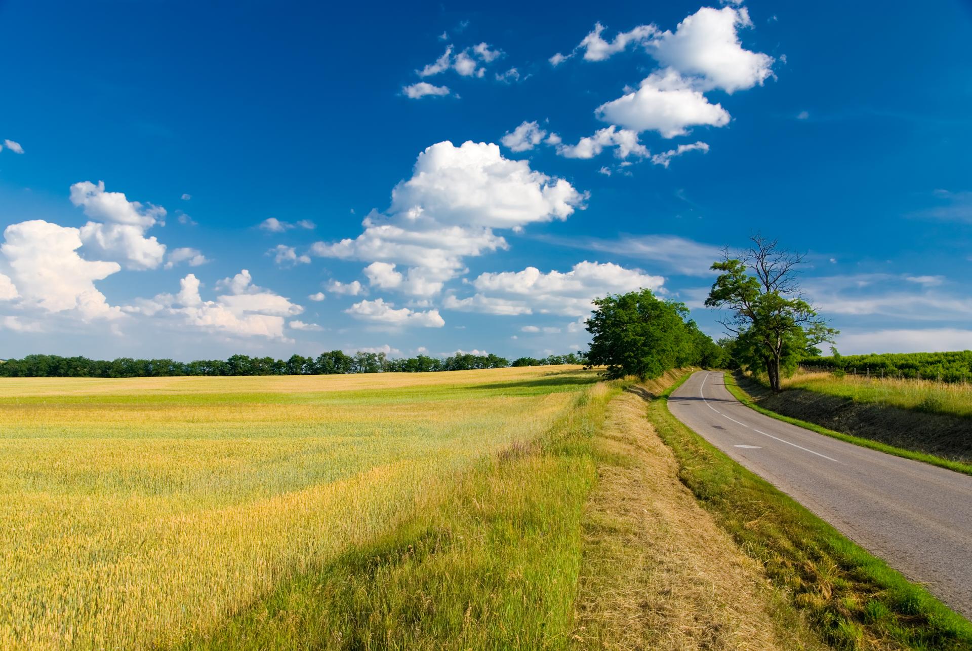 Paragon za przejazd autostradą jako koszt uzyskania przychodu
