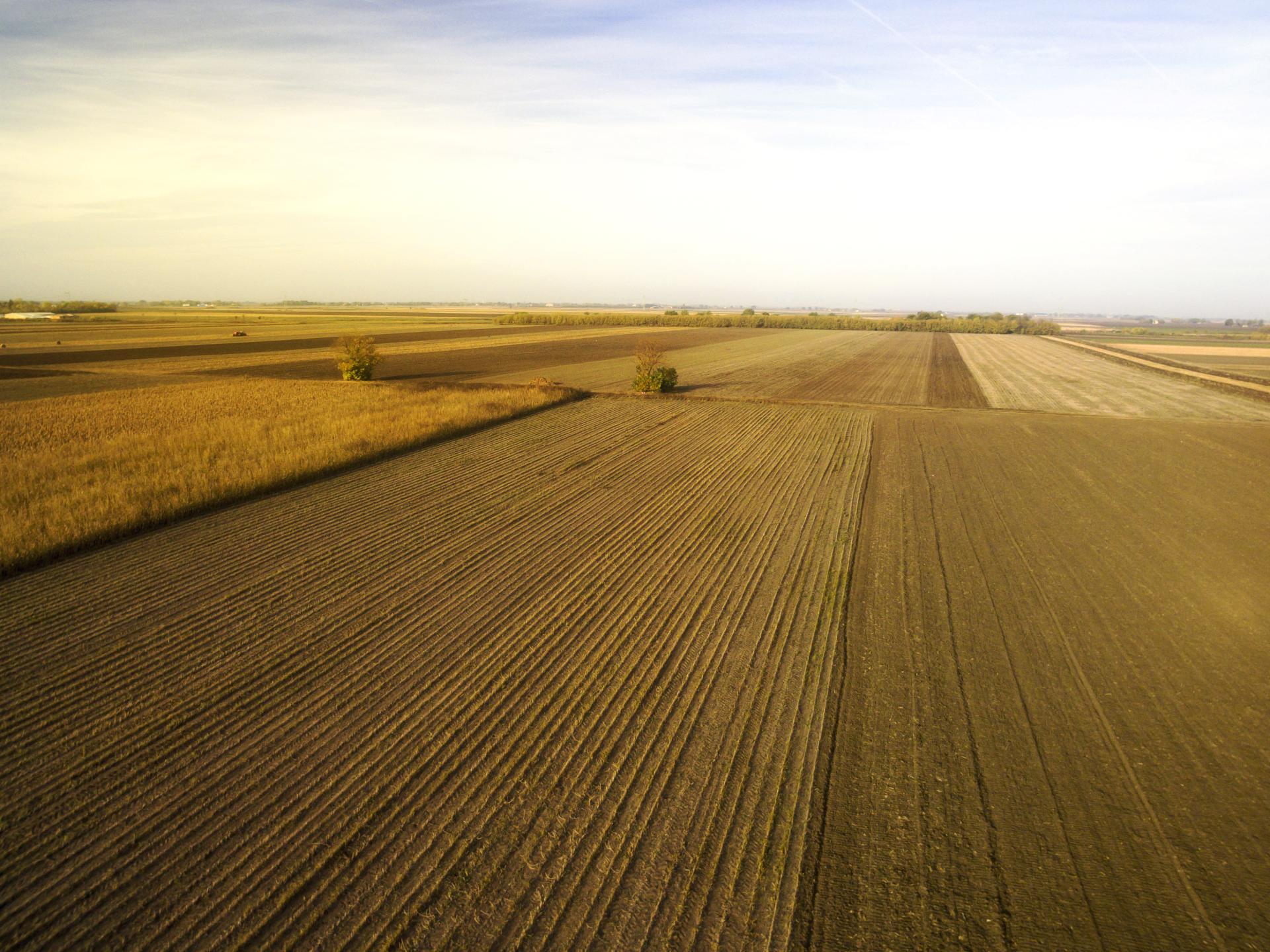 Podatek rolny czy podatek od nieruchomości - warto wiedzieć