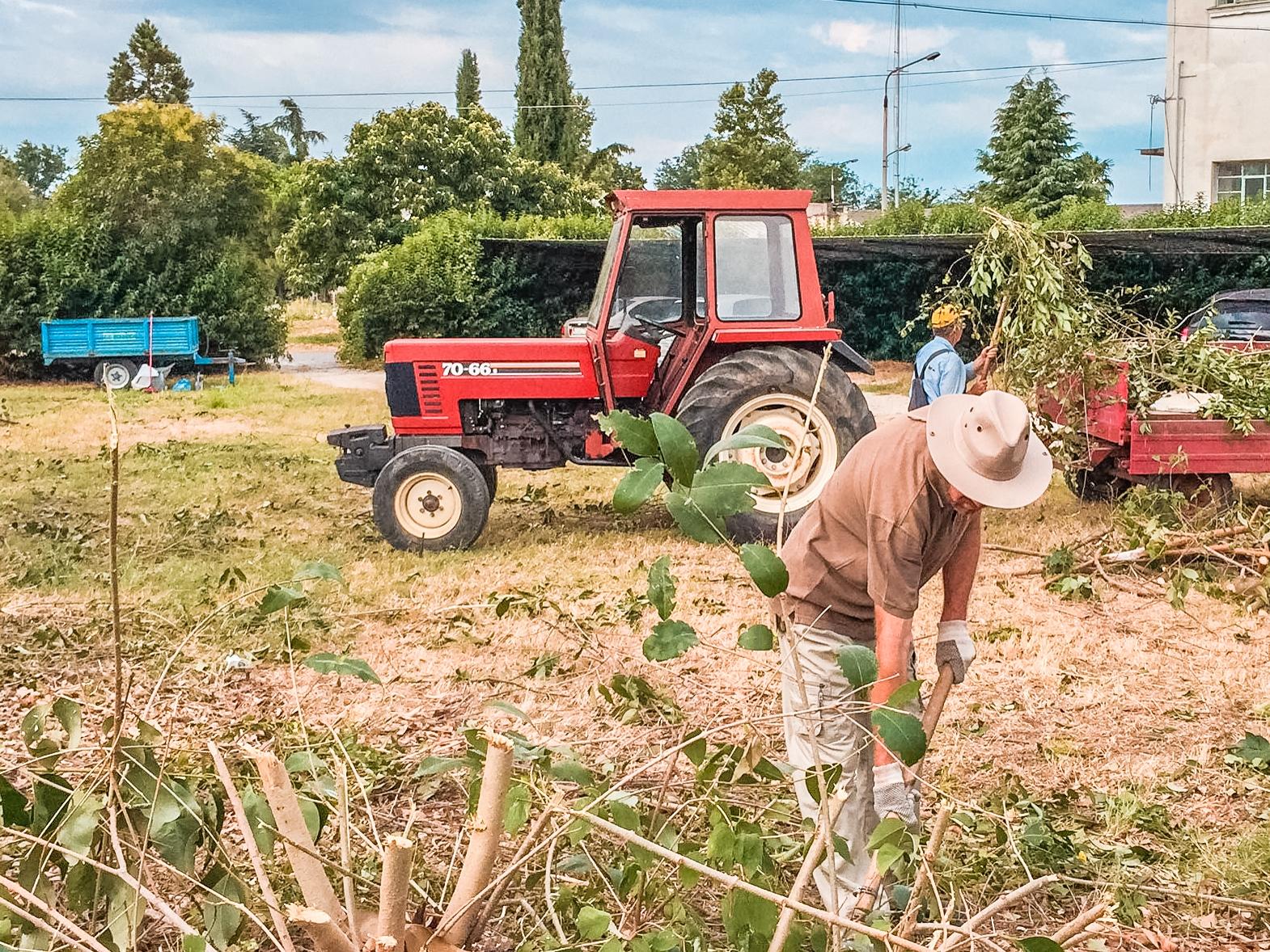Zaliczanie pracy w gospodarstwie rolnym do stażu pracy