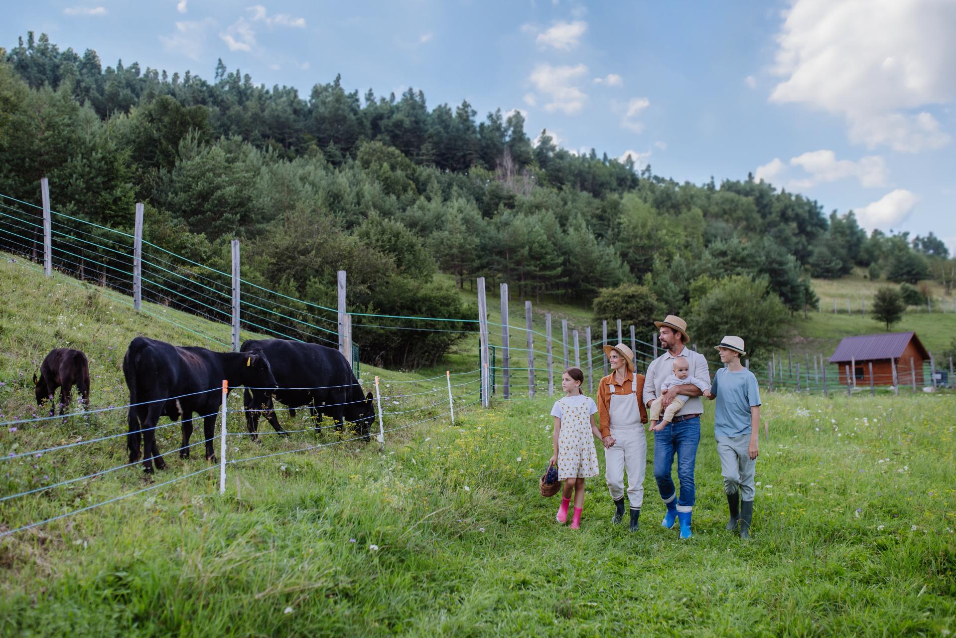 Agroturystyka w formie spółki jawnej - jak rozliczyć VAT i PIT?