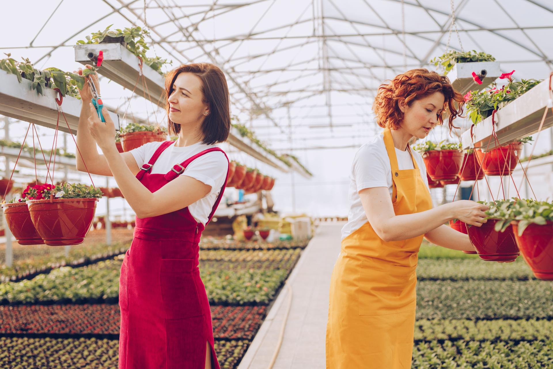 Podatek od sezonowej pracy za granicą - rozliczenie