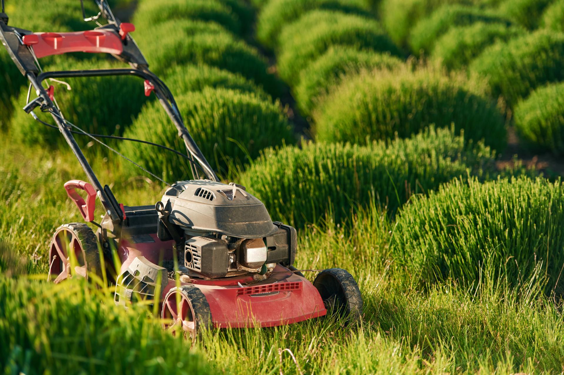 Rękojmia przy zakupie maszyny - najważniejsze informacje