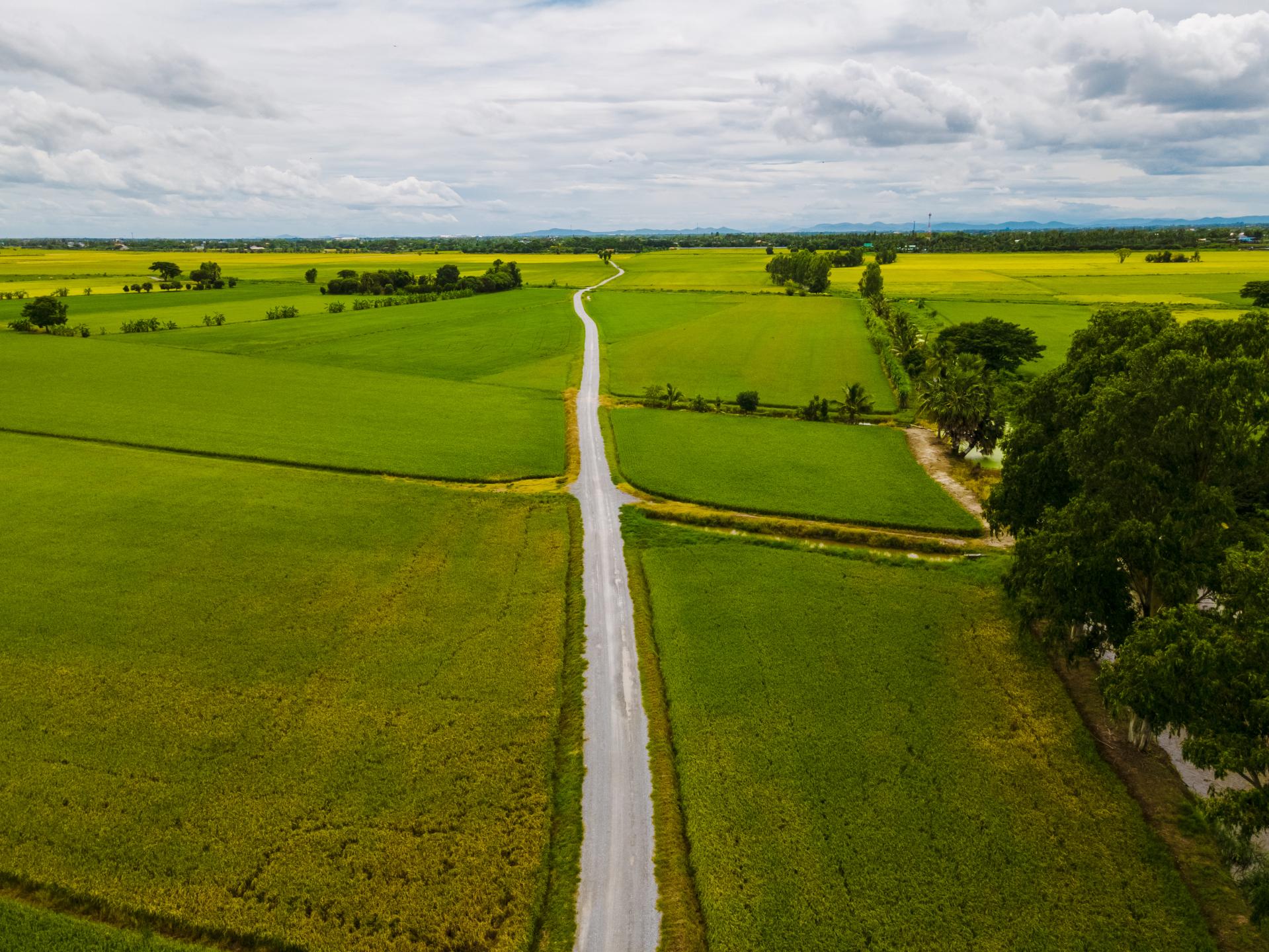 Służebność drogi koniecznej - czy może zostać zniesiona?