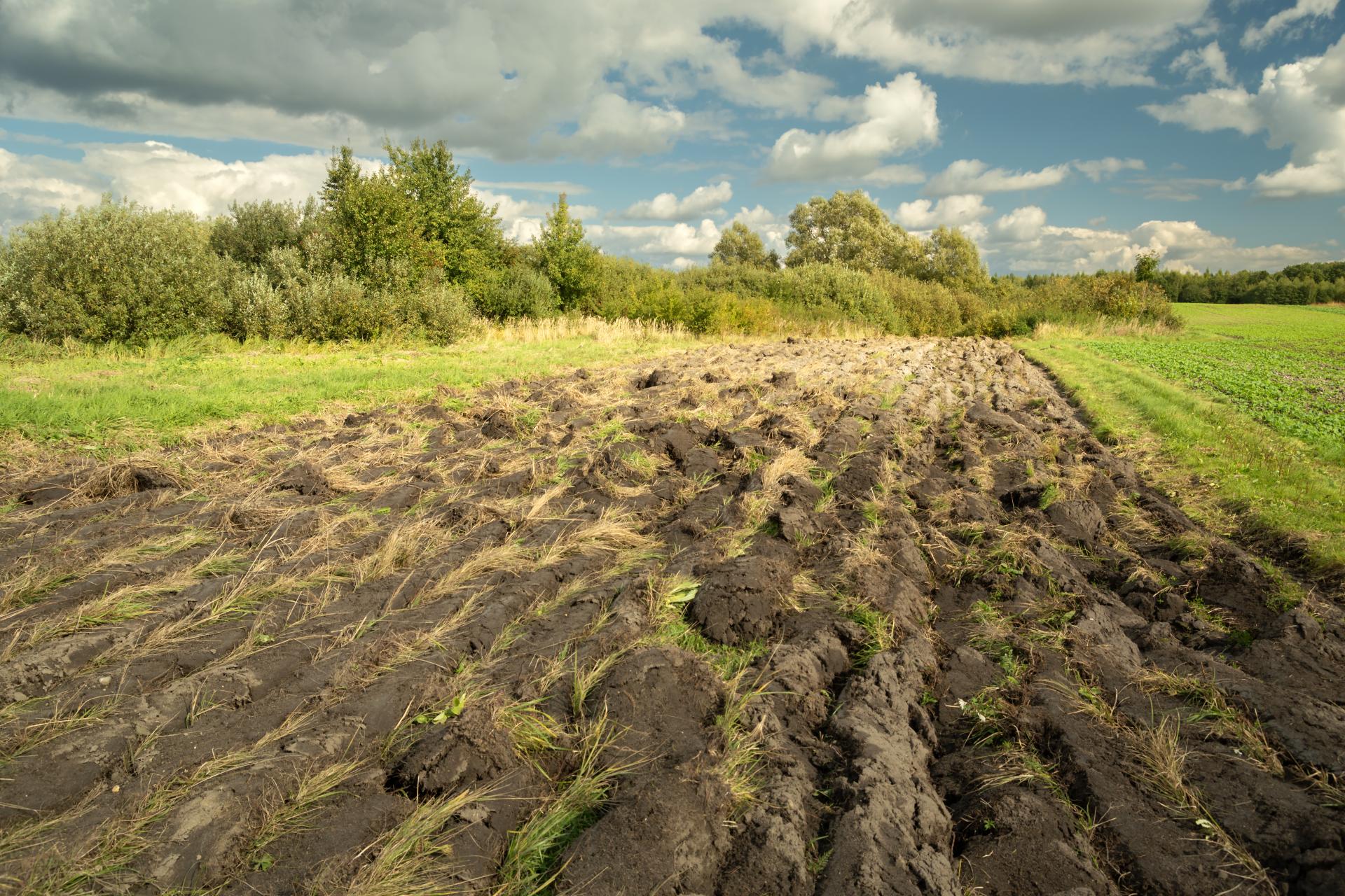 Wycofanie gruntu z działalności gospodarczej – rozliczenie na gruncie VAT i PIT
