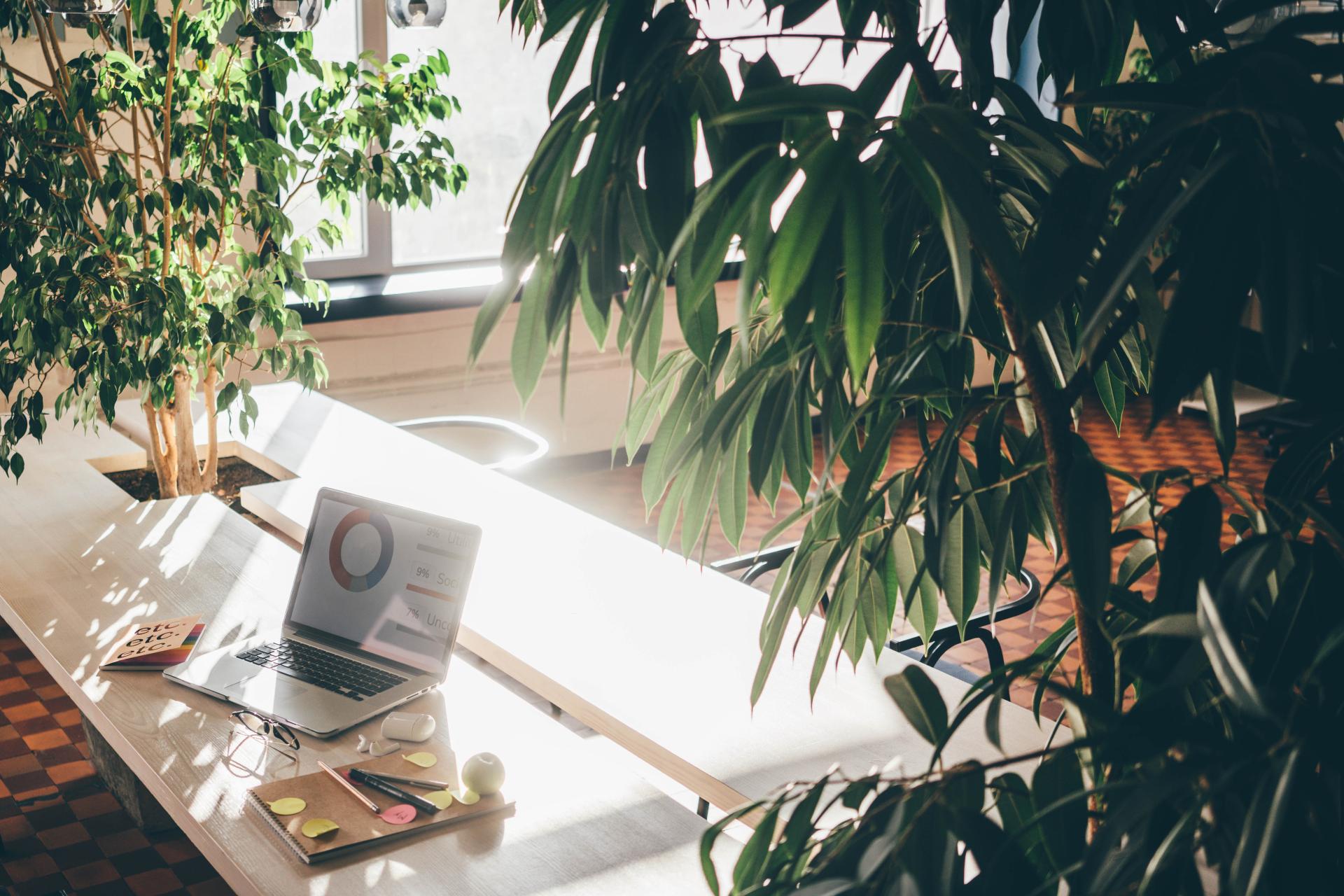 Rewolucja w rozliczeniach ZUSem - nadchodzi Jednolity Plik Ubezpieczeniowy (JPU)