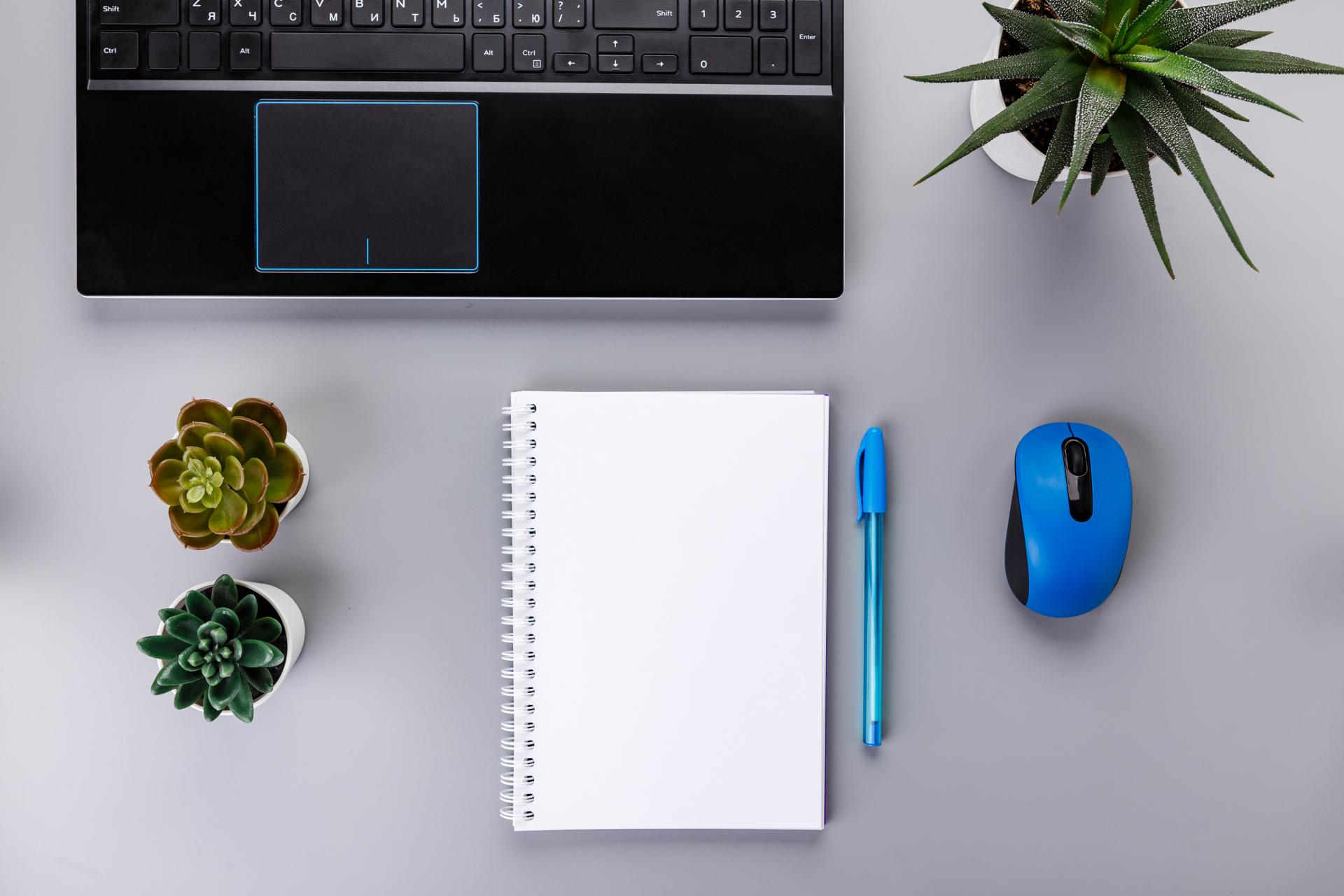 Czym jest renta stała?