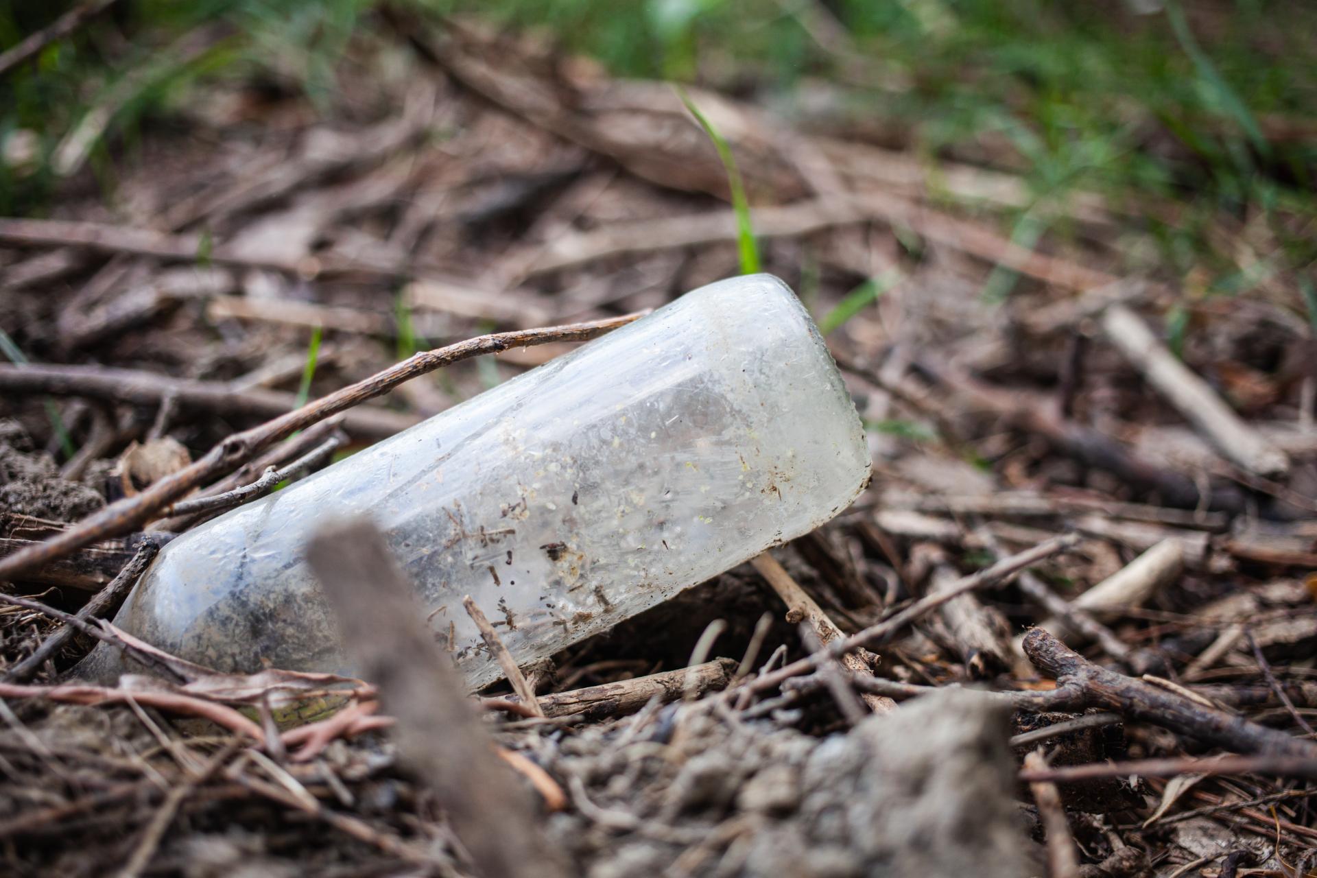 Wywożenie śmieci do lasu – co za to grozi?