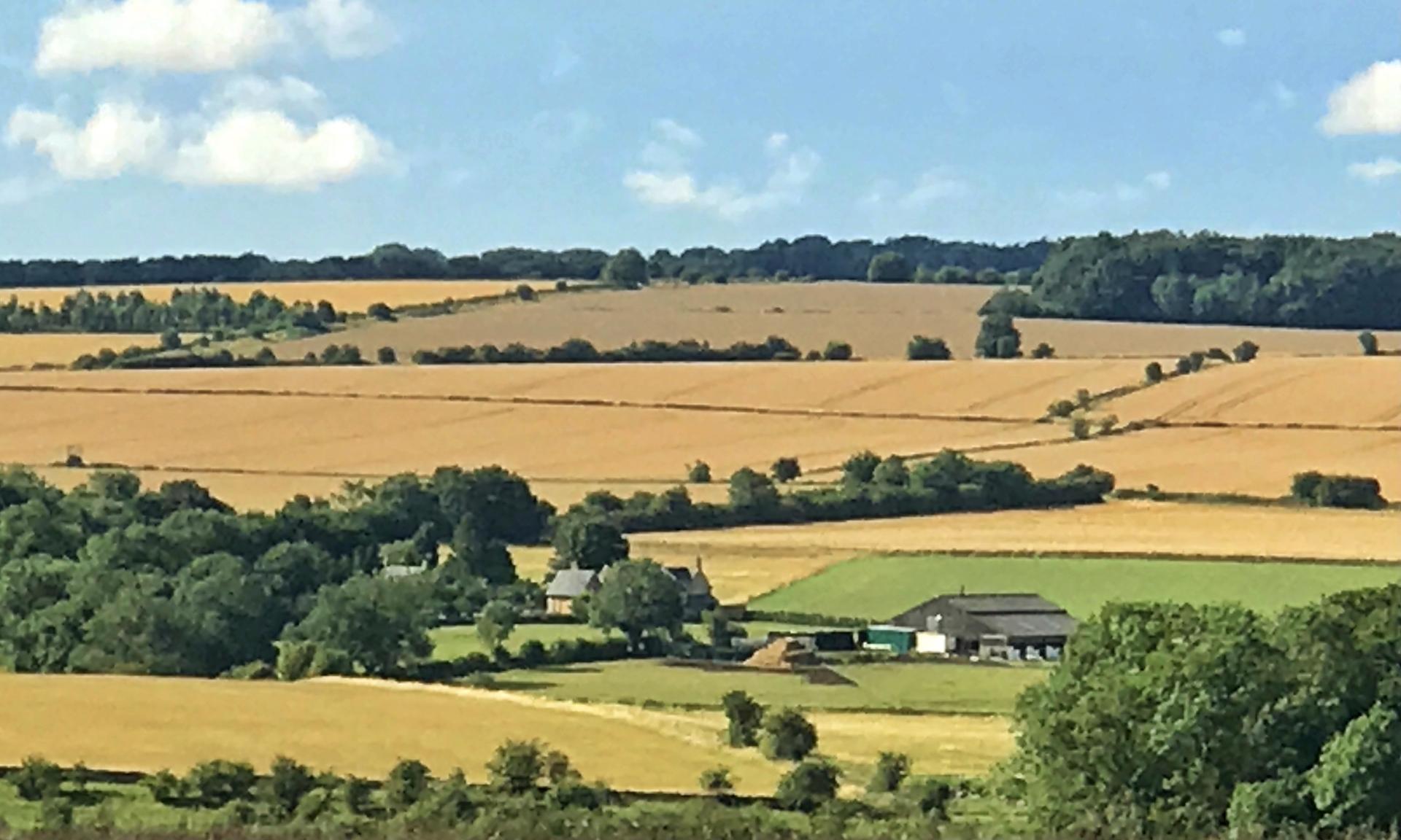 Udziały we wspólnocie gruntowej - kto może być do nich uprawniony i jakie zasady wynikają z ustawy?