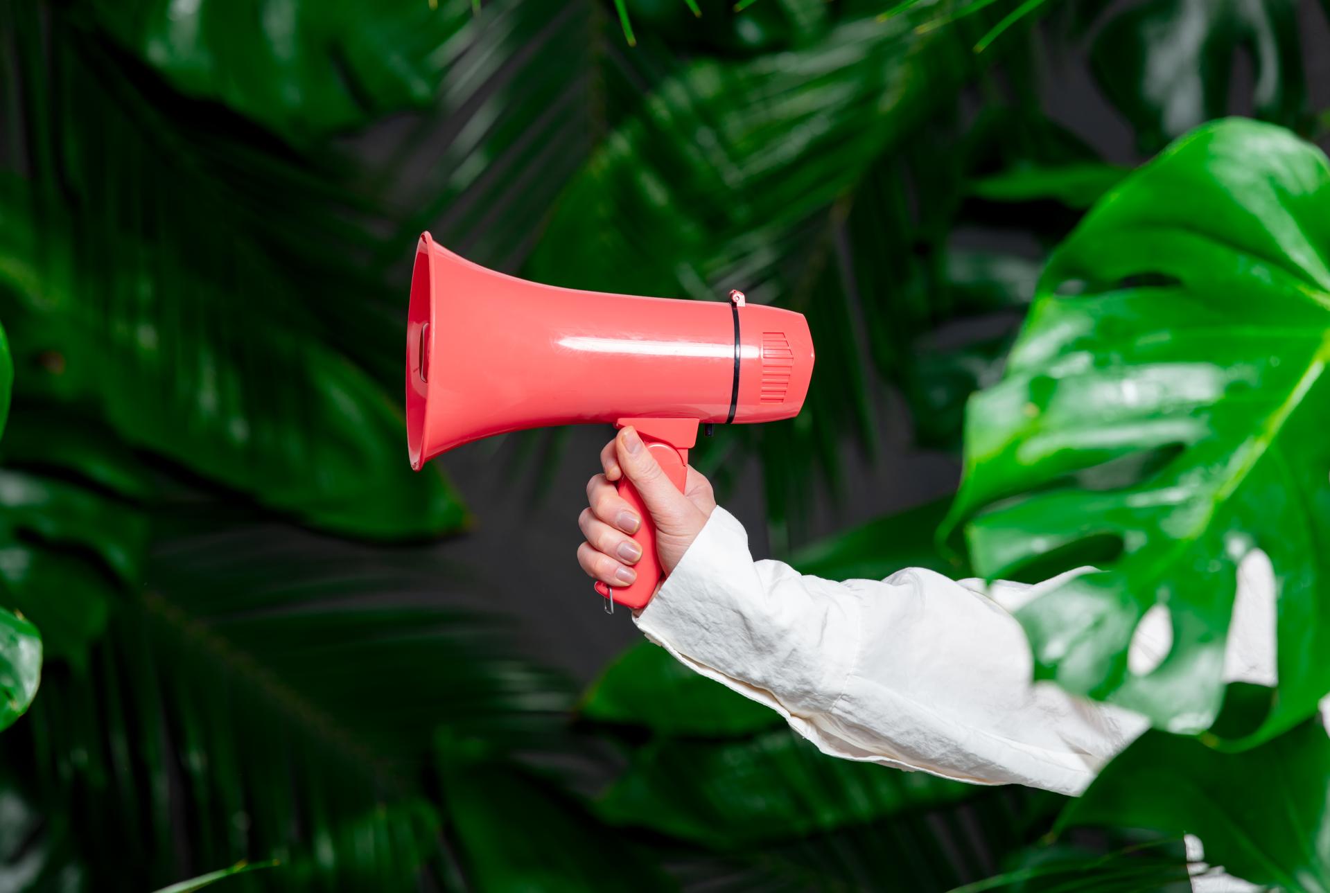 Uprawnienia sygnalistów – regulacje prawne