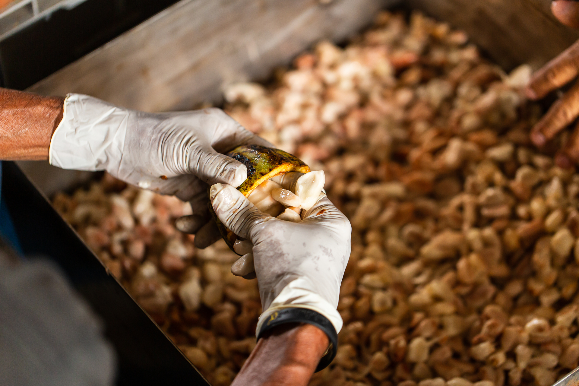 Eksport towarów na rzecz konsumenta – jak rozliczyć VAT i PIT?