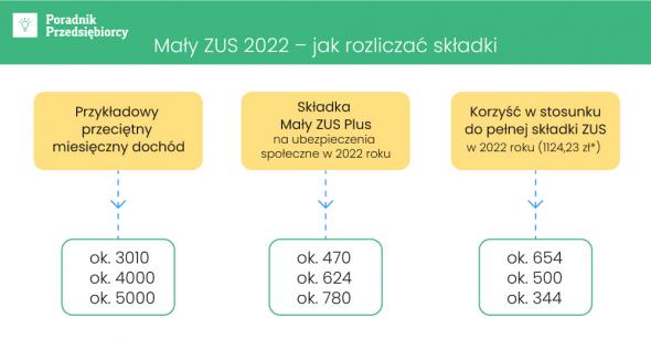 Mały Zus 2022 Jak Skorzystać Z Tej Ulgi 9620