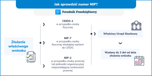 jak sprawdzić nip